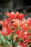 Foto: Dr. Jörg M. Giffei