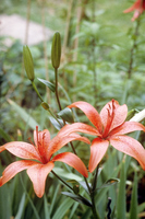 Foto: Dr. Jörg M. Giffei