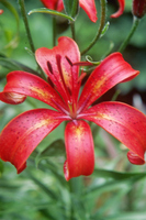 Foto: Dr. Jörg M. Giffei