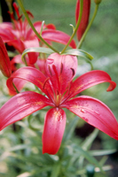 Foto: Dr. Jörg M. Giffei