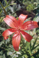 Foto: Dr. Jörg M. Giffei