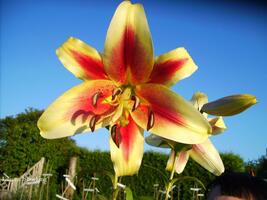 Foto: Stefan Strasser