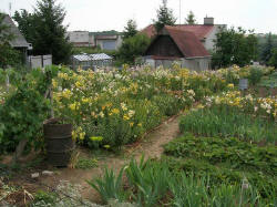 Foto: