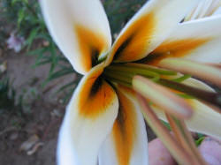 Foto: